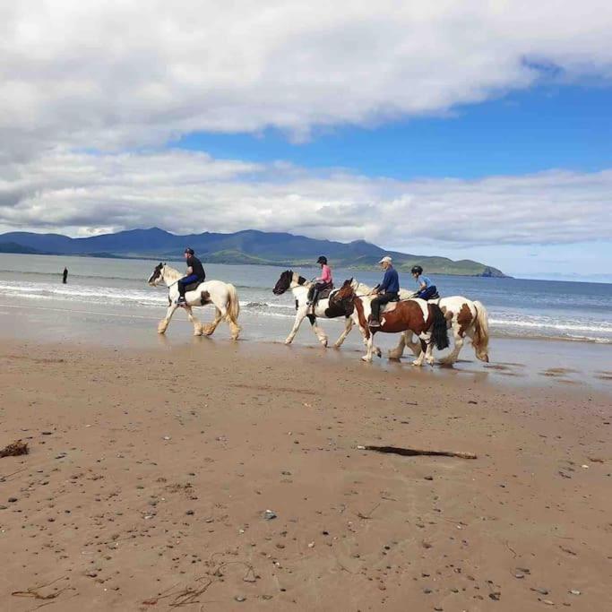 Castlegregory-seaside 2 Bedroomed *